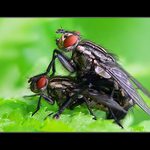 ** láska je láska **