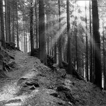 krkonosske pastoralie ii