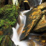 ~ Cradle Falls ~