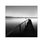 ~ Bay of Tranquility ~