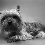 ''Jediná nesobecká bytost v mém okolí''