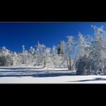 Kdeže loňské sněhy jsou ...