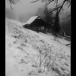 Smutné obrázky letošní zimy