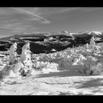 Krkonoše