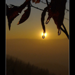 Sun blindness