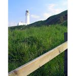 Flamborough Head