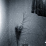 poezie všedního dne