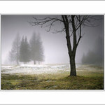 Země zasmušilá...