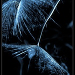 Môj mikrokozmos pocitov I