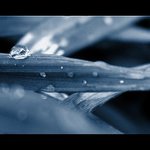 kapka v modrém........