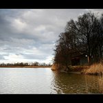 ...odpoledne u rybníka...