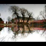 ...svět na hladině...