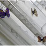 Blues ztracených motýlů.