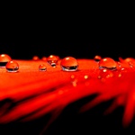 a stále prší.....