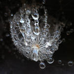 .................................