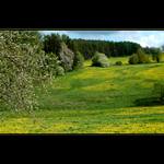 Už se to blíží ...