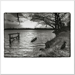 Tento způsob zimy zdá se mi býti poněkud podivným