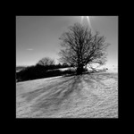 Sám so svojím tieňom