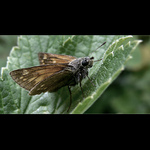 připravena ke startu