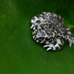 Nikdo mě nevidí...