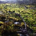 cas na protitankovych kockach