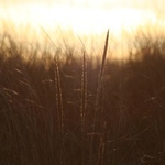 zapad slnka na jesen