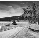 Jesenická pohodová krajinka