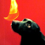 ...cakanie na spagetu II....