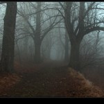 Pohled do duše ( 2)