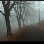 Pohled do duše  (3)