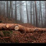 Konec jednoho života