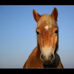 Ahoj co tam delas???