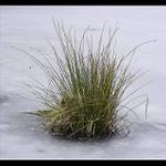 Sám a sám na světě jsem..