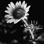 První nebo poslední?