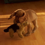 bacha, já letím...