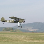 Storch