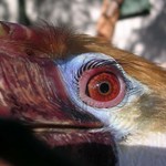 jedna z mojich prvych foto na digital