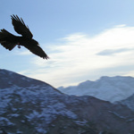 flying high