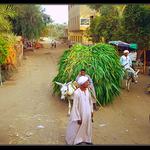 Egypt......