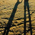 Skoro rodinný autoportrét