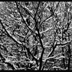 ...keď bola ešte zima...