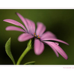 Ještě kousek a sklouznu