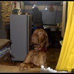 to pivo je dobrý jen ten vrchní..........