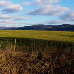 z podhůří Jeseníků