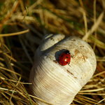 oteplilo se, berusky vylezaji se svych ulit :)