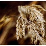 .. o čem si asi tak povídají??