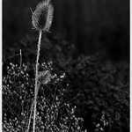 .. a stejně jsem vyšší..