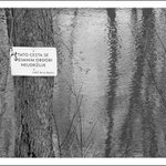 ... no je nějaká vlhká