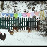 Velké malé prádlo