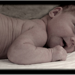  ?šarpej nebo miminko?